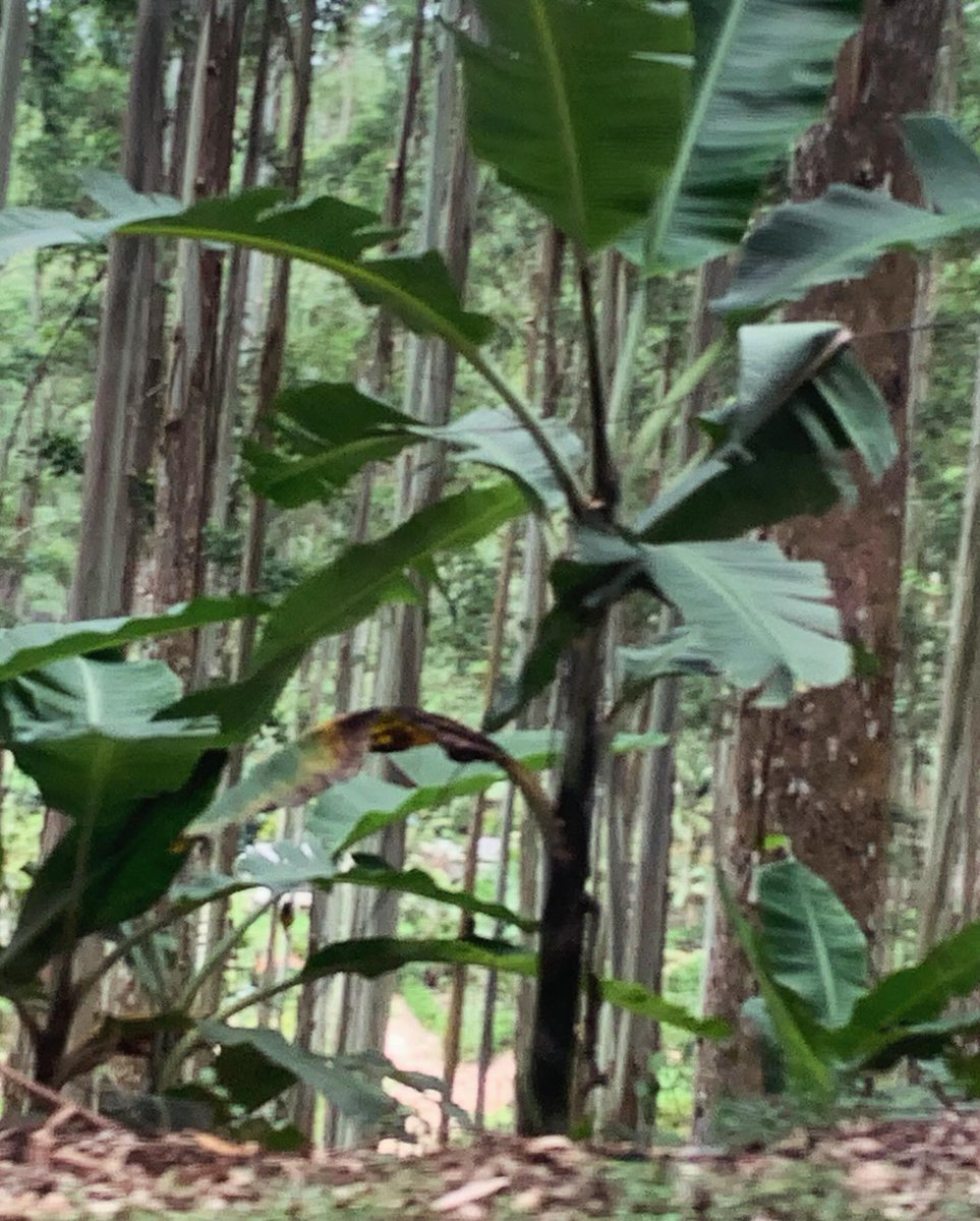 addisonrodclf0's tweet photo. Part 1 of my excessive photo-taking. https://t.co/U9te6ZKg2T