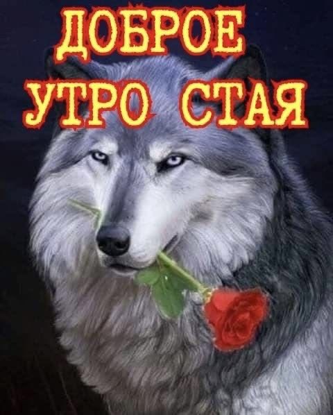 moontilovs's tweet photo. hola amigas rusas no se por que este tweet está teniendo tantos likes, les dejo una imagen que encontré en pinterest al poner  russian meme https://t.co/yXelRJ5FKz