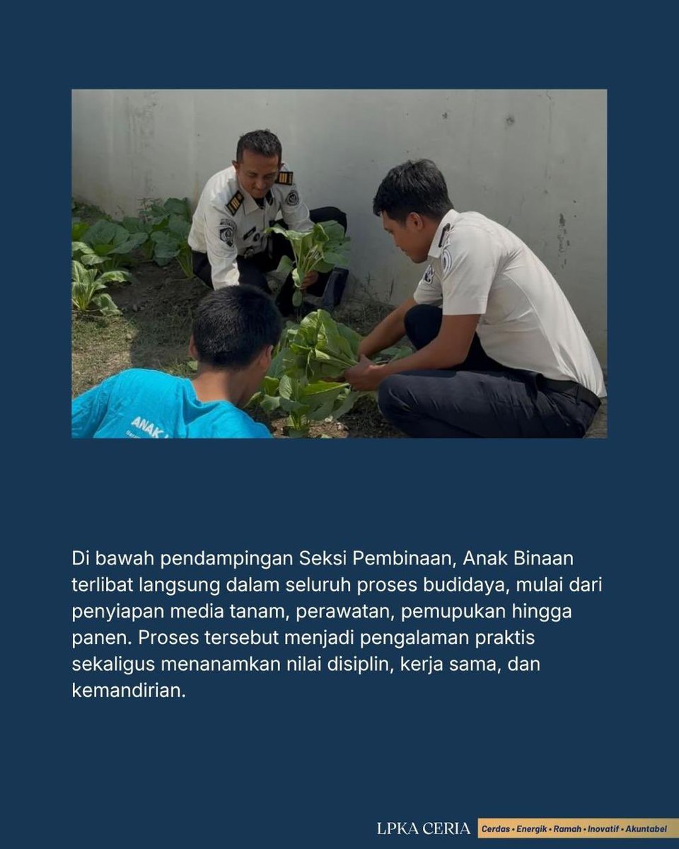 LPKAPALU's tweet photo. Lahan Terbatas, LPKA Palu Panen 8 Kg Sawi Segar

Palu – Kegiatan ini merupakan bagian dari pembinaan kemandirian sekaligus dukungan LPKA Palu terhadap implementasi 15 Program Aksi Kementerian Imigrasi dan Pemasyarakatan khususnya dalam penguatan kemandirian dan ketahanan pangan. https://t.co/Z0bbriPnQ9