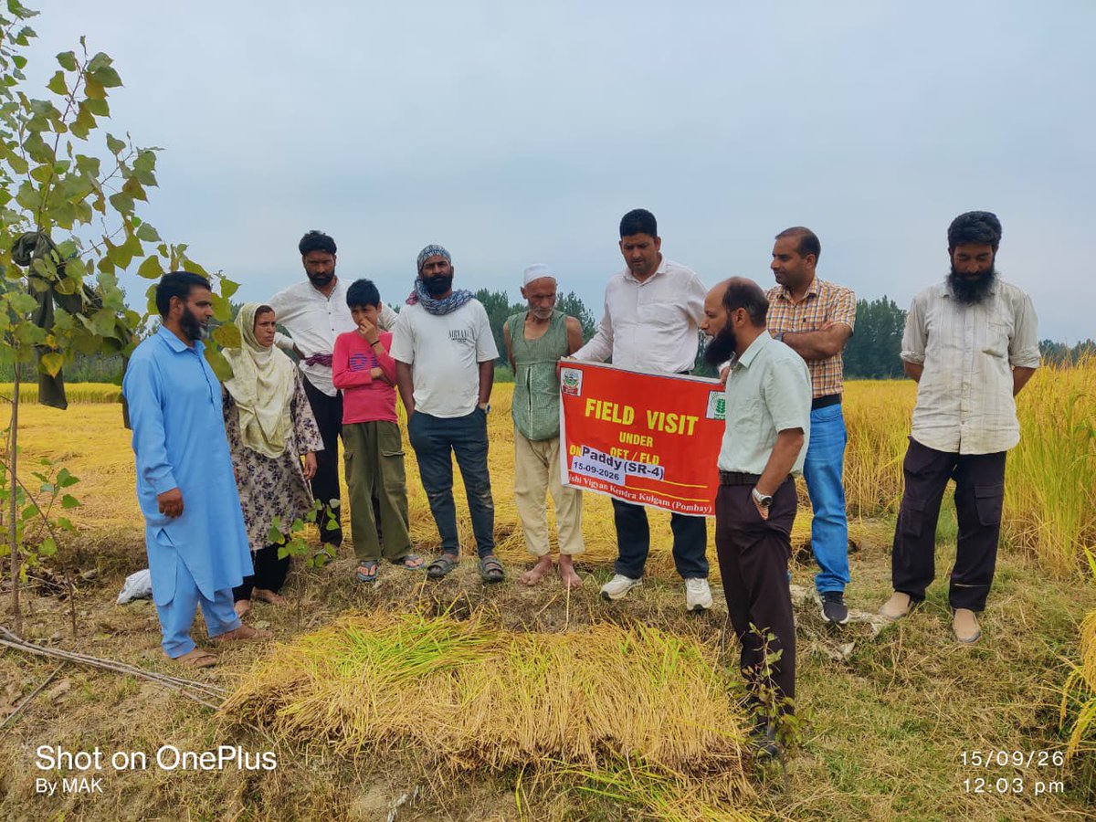kvkkulgam's tweet photo. A field visit was conducted by Krishi Vigyan Kendra (KVK), Kulgam to the FLD plots on Paddy (SR-4) established at Kaladrang and Nawa villages of District Kulgam. https://t.co/PnyzMaEyEt