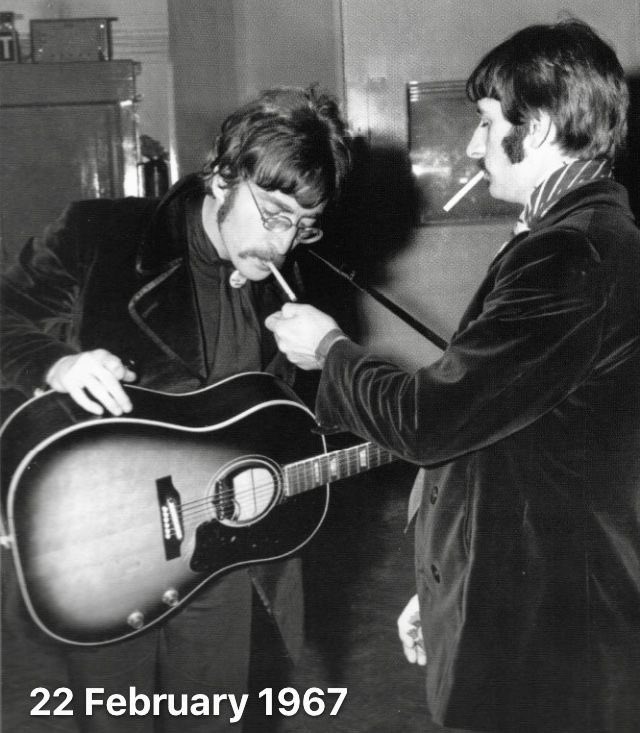 beatlebutch's tweet photo. they really are just so beautiful here #lennstarr https://t.co/cMRvLexyOq