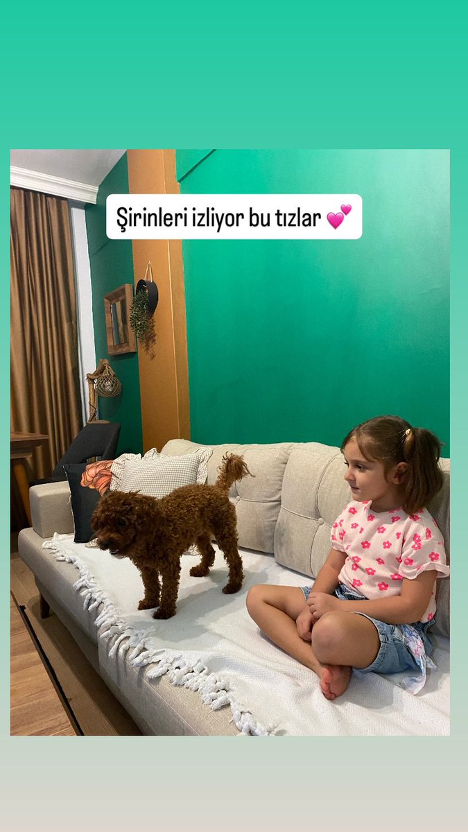 Melisayxpm's tweet photo. 🐕❤️❤️👱 https://t.co/wgNSvo58u3