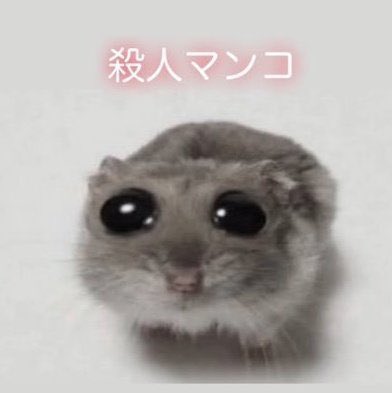 ooo168_8000's tweet photo. https://t.co/SvjkOD9DNX