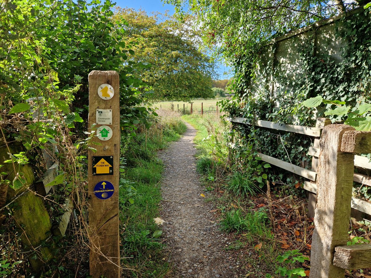 BraniganWay tweet picture