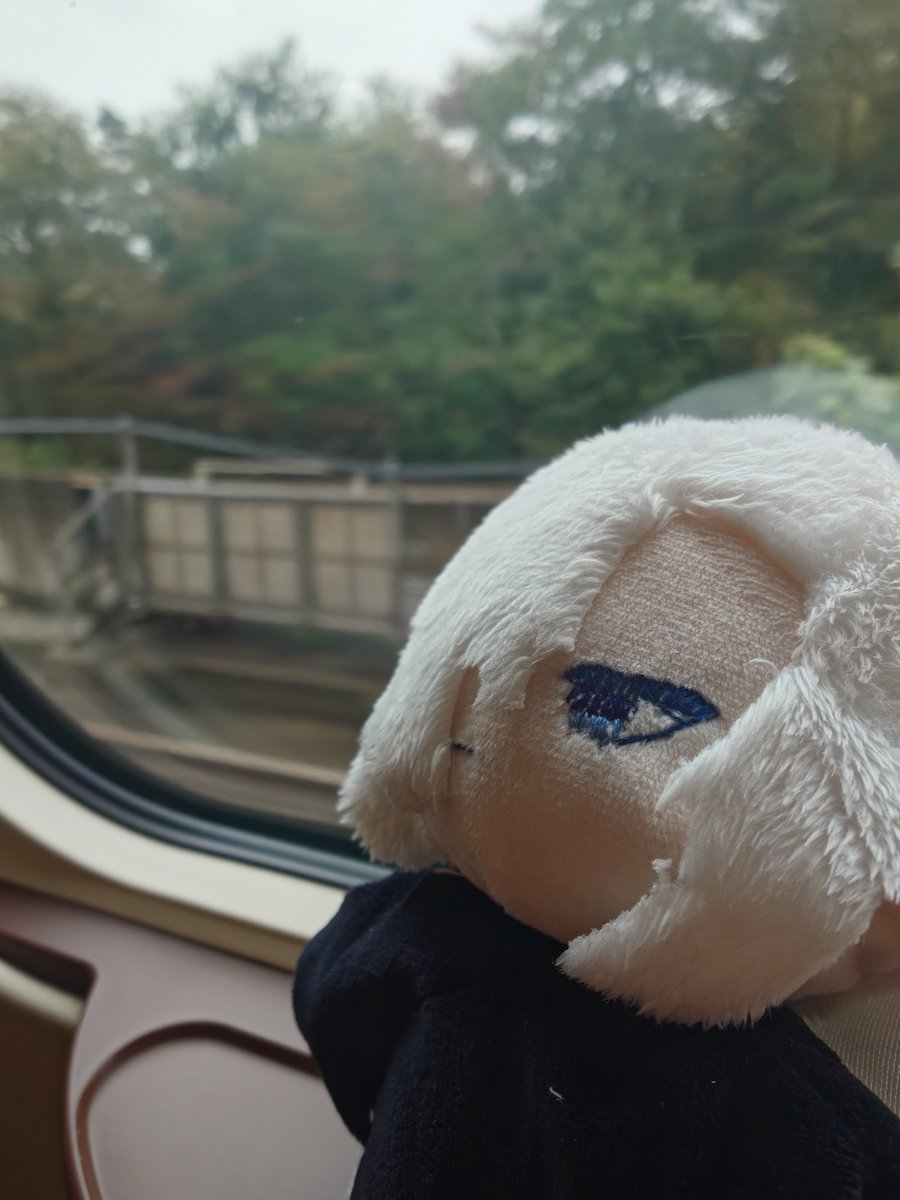 itaru2709's tweet photo. ぬいちゃん、新幹線速い��。 https://t.co/Qn0wUzDcvA