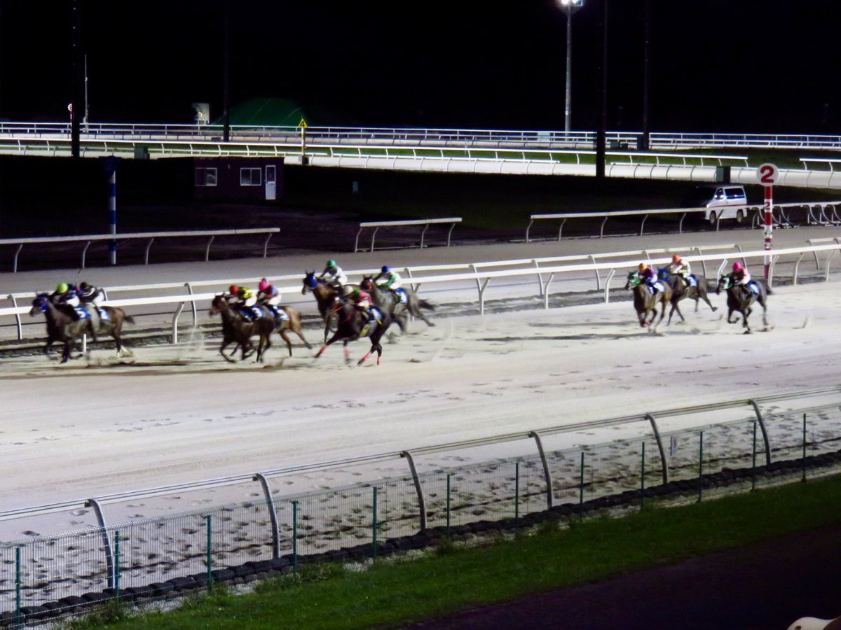casio830CA's tweet photo. 昨夜は馬好きの母と門別競馬場に行って来ました〜🐴
此処のLED は全国初の競馬場。
夜は競馬場のいずみで蕎麦食べて来た😋 https://t.co/cwoXv818ES