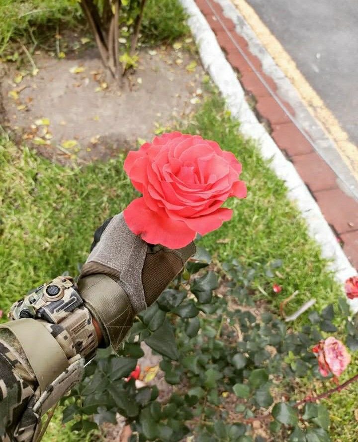 FizzyLarmi4's tweet photo. Good morning proof for military https://t.co/MRvyQdSVUi