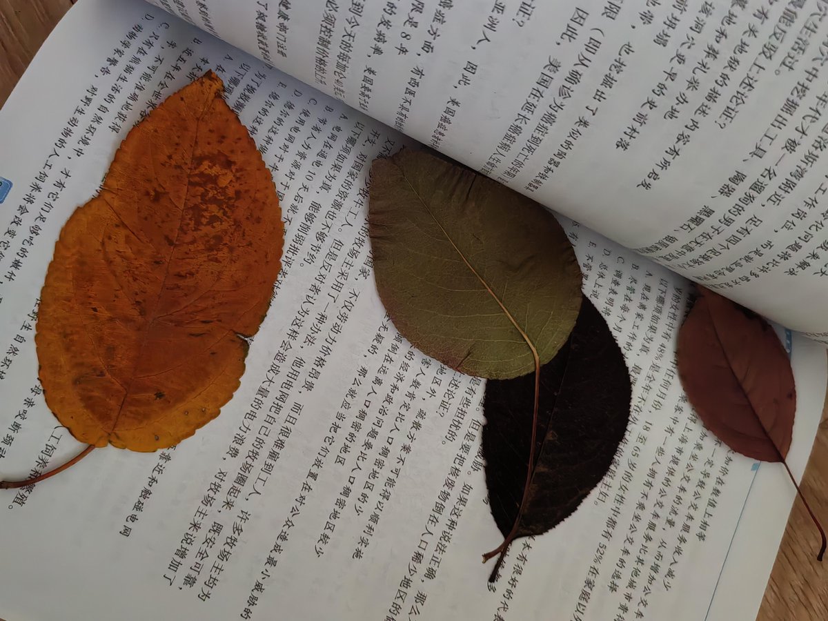 ariao162138's tweet photo. Growing up isn’t about erasing the messy parts—it’s learning to turn the stumbles into steps that lead you where you’re meant to be. https://t.co/pa9JbgI80l