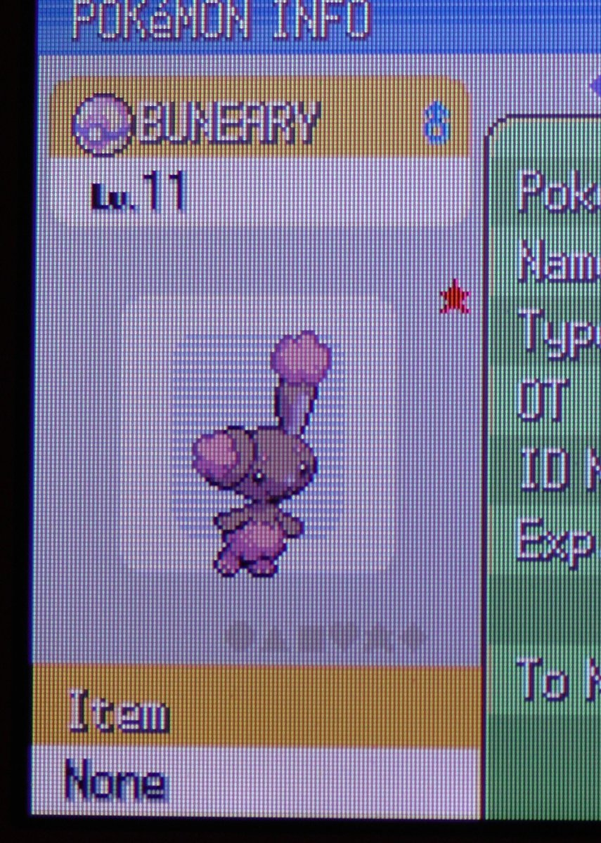 flyingflygon's tweet photo. So stoked to get my shiny buneary after 5 phases! He's beautiful! https://t.co/7sW36LbimP