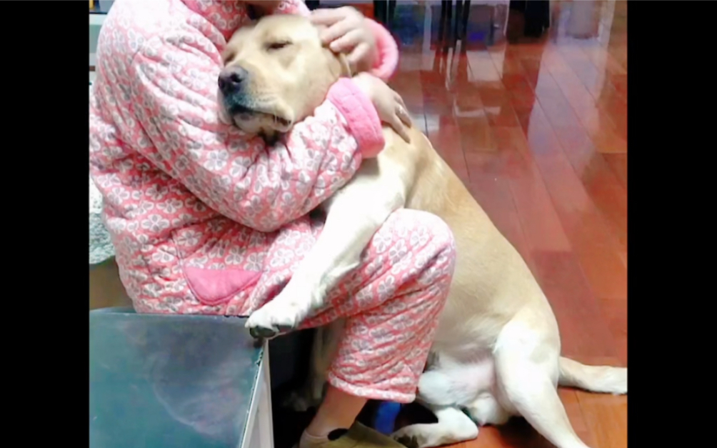 nibba714191's tweet photo. Nothing beats coming home to your furry best friend’s excited tail wag and warm snuggles  Small joys make the sweetest days. https://t.co/IaIFRTIWdy