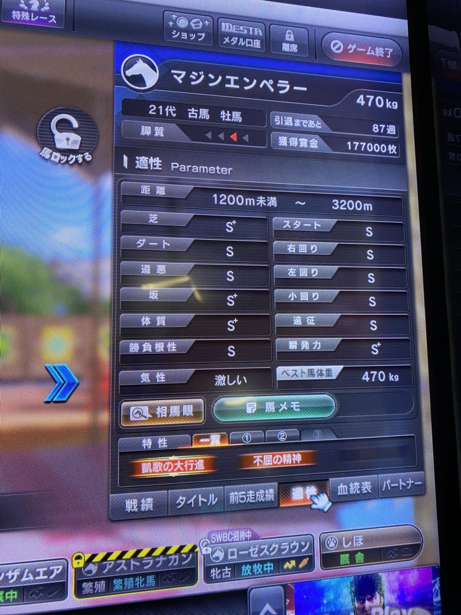 SuperRobotWarsF's tweet photo. 今日のスタホ🐴
発動馬がWBC勝利、次走のSWBCには並走が2頭いるのでフル活用。
勝てばスカイ予選もまあまあ期待できそうかな？

おでかけペットで昇華素材の神札ゲットからの消化で不屈の精神神札(金)GET！
4軸目がこれで作れます🏇 https://t.co/mK6P77MFmN