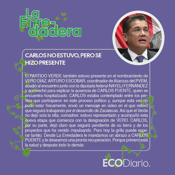 Ecodiariozac's tweet photo. 🍃 #LaEnredadera | CARLOS PUENTE no pudo estar, pero mandó mensaje. El Verde acompañó a VERO y desde aquí le deseamos pronta recuperación.
#CarlosPuente #PartidoVerde #Zacatecas #EcoDiario https://t.co/Q9fzv2BTxC