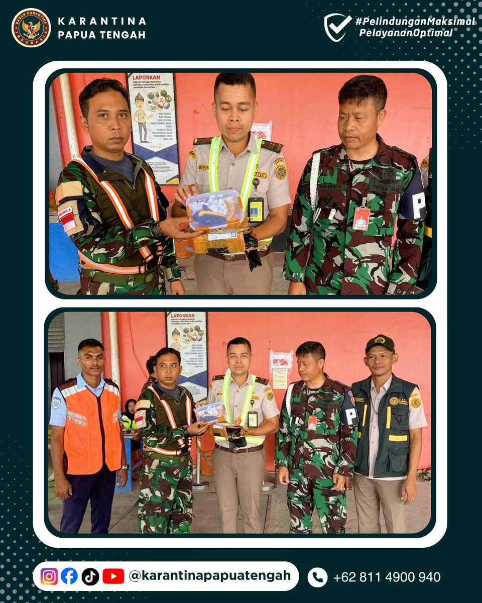 KarantinaPateng's tweet photo. Amolongo SobatQ 👋🏻

Rilis Karantina Papua Tengah, 16 September 2026
Nomor : 102/BKHIT-PT/09/2026

Lagi-Lagi! Karantina Papua Tengah Bersama Avsec dan PAM Lanud Gagalkan Pengiriman Ular

Selengkapnya : https://t.co/9IKxXVLpR9

#karantinapapuatengah #karantinaindonesia https://t.co/22mDm5t5mA