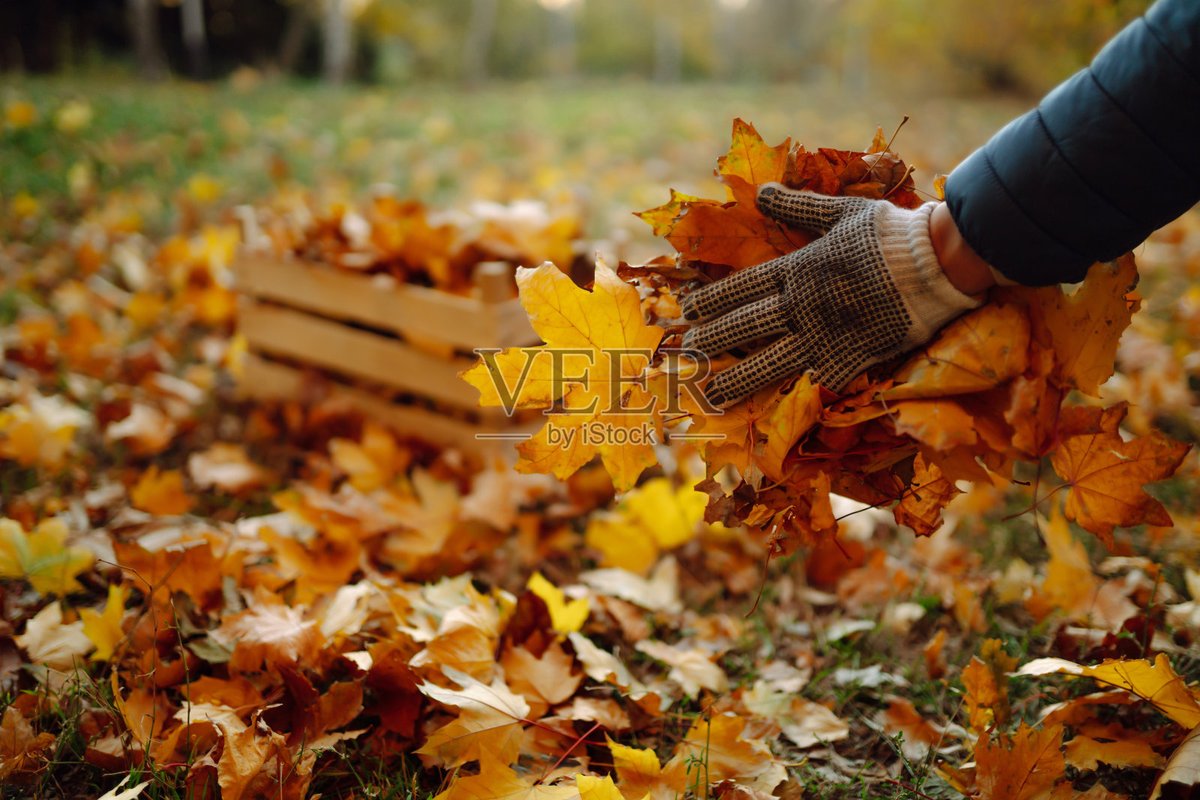 velvq104982's tweet photo. Neighborhood Clean-Up Day this Sat (9am-12pm) at Central Park! Free snacks, tools + new friends. Drop by and help spruce our community! https://t.co/YQiPpaWW8E