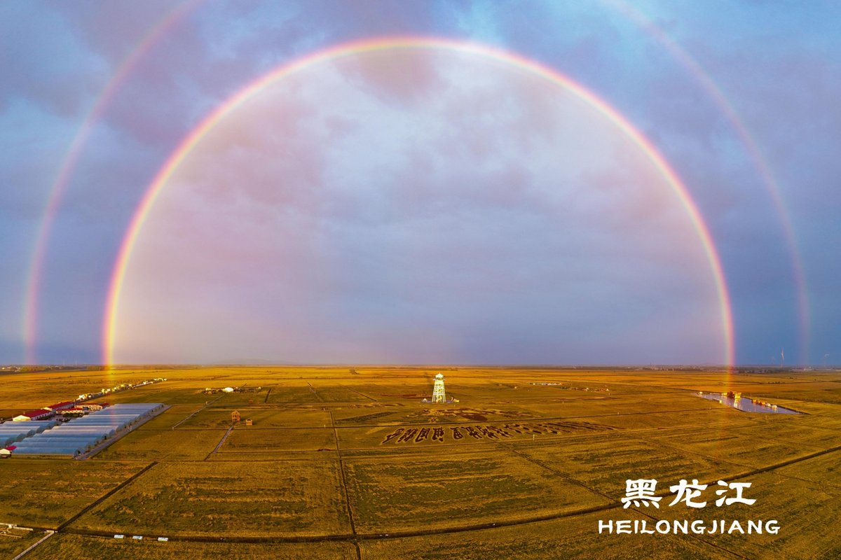 FlyOverChina's tweet photo. In the golden autumn season, China's Heilongjiang, known as "China's granary," is embracing the ripening season of paddy rice. Golden paddy fields stretch out like waves, forming a breathtaking autumn landscape.
#HeiLongJiang #Drone #FlyOverChina https://t.co/MoA9QZYv0t