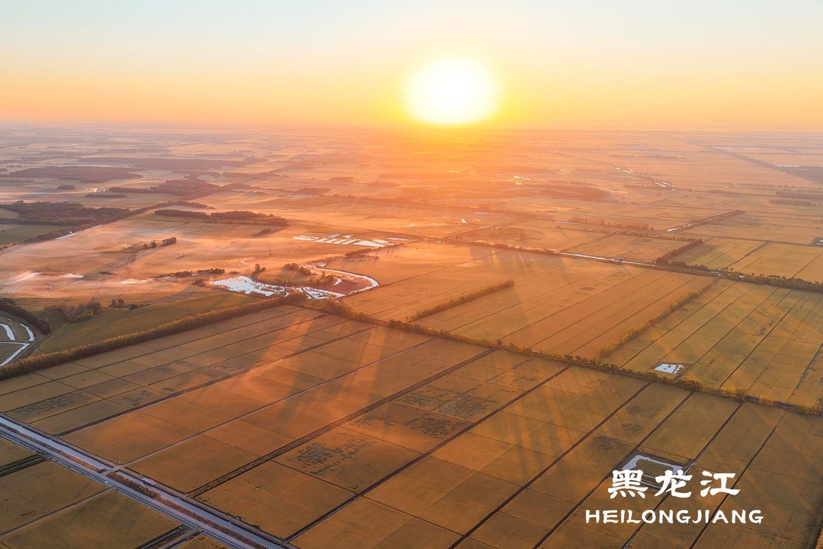 FlyOverChina's tweet photo. In the golden autumn season, China's Heilongjiang, known as "China's granary," is embracing the ripening season of paddy rice. Golden paddy fields stretch out like waves, forming a breathtaking autumn landscape.
#HeiLongJiang #Drone #FlyOverChina https://t.co/MoA9QZYv0t