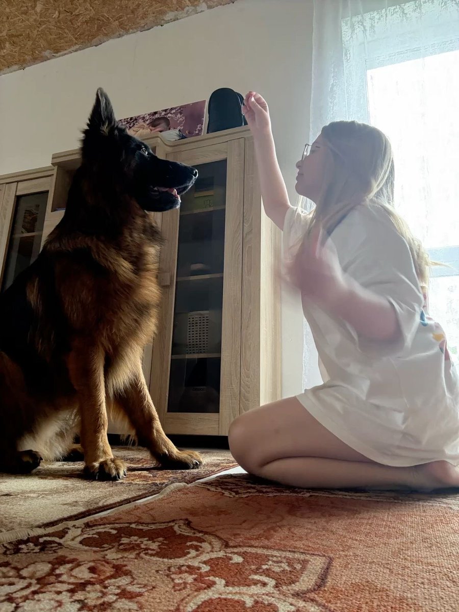 Aghilibkvo's tweet photo. 👀 Curious about what’s inside? 🐶 🐕🦮🐩🐾🦴

Want the full file or access to my Exclusive Hot Dogknotting private Videos ? 🔐

Send me a DM 👇👇👇and let’s get you access.

Telegram:📲: https://t.co/KbVX0t1iDJ
Zangi: 📲: 1157016438 https://t.co/h4igUlzTiS