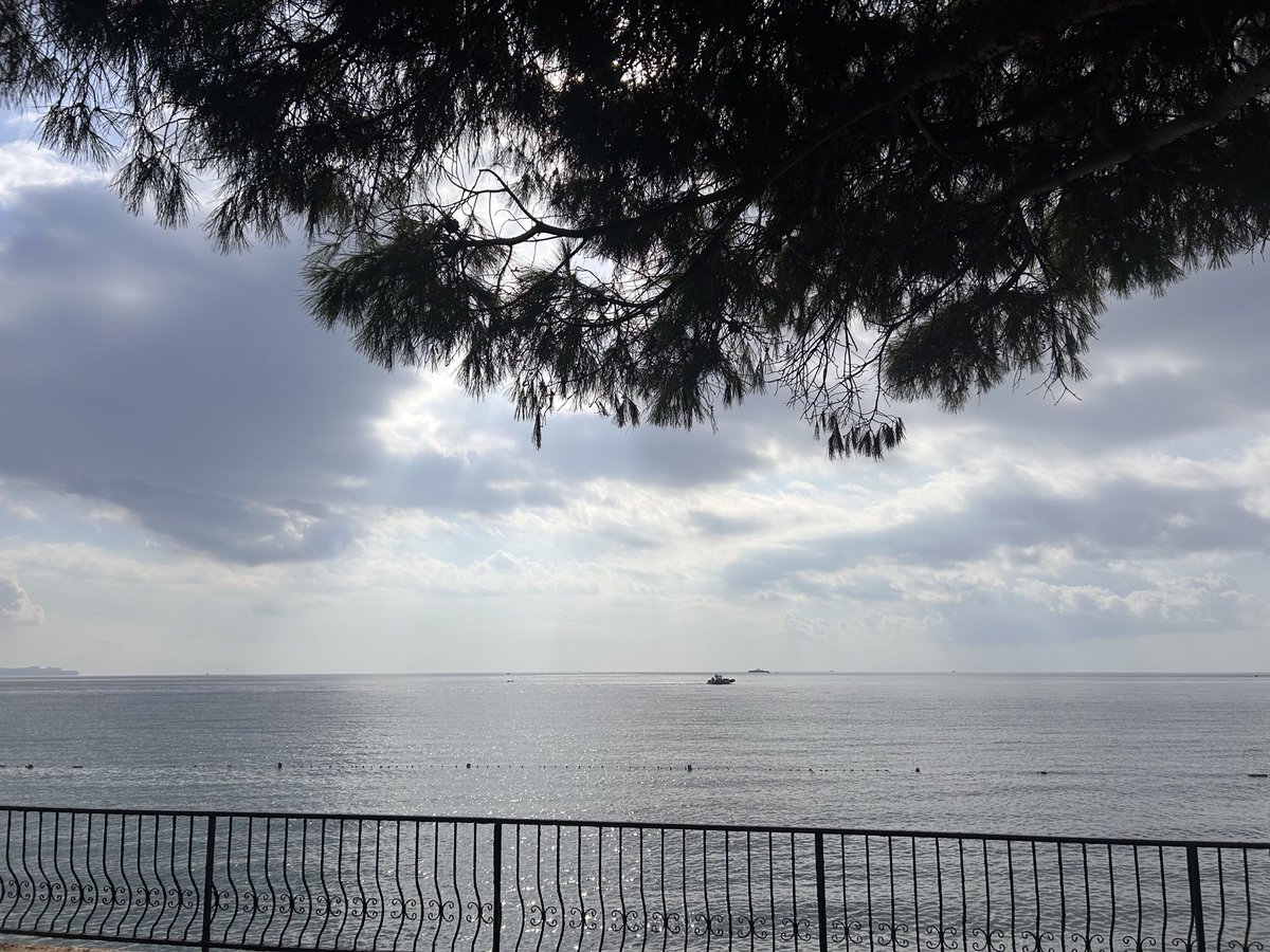 ks3148's tweet photo. Bu sabah yağmurda yüzüyoruz 🤩#konyaaltı https://t.co/MLt0FbX807