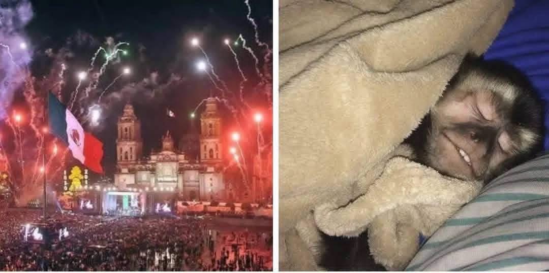 ajbauer8's tweet photo. Todos hoy en la noche  //  yo https://t.co/Fs3neGMeVp