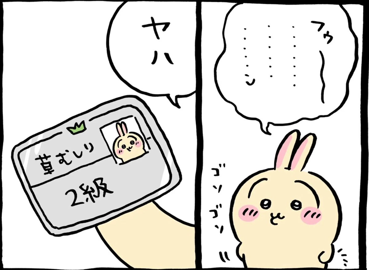 aito08228's tweet photo. 気が滅入りそうな時は
うさぎを眺めましょう🫠 https://t.co/xRB19BKRZl