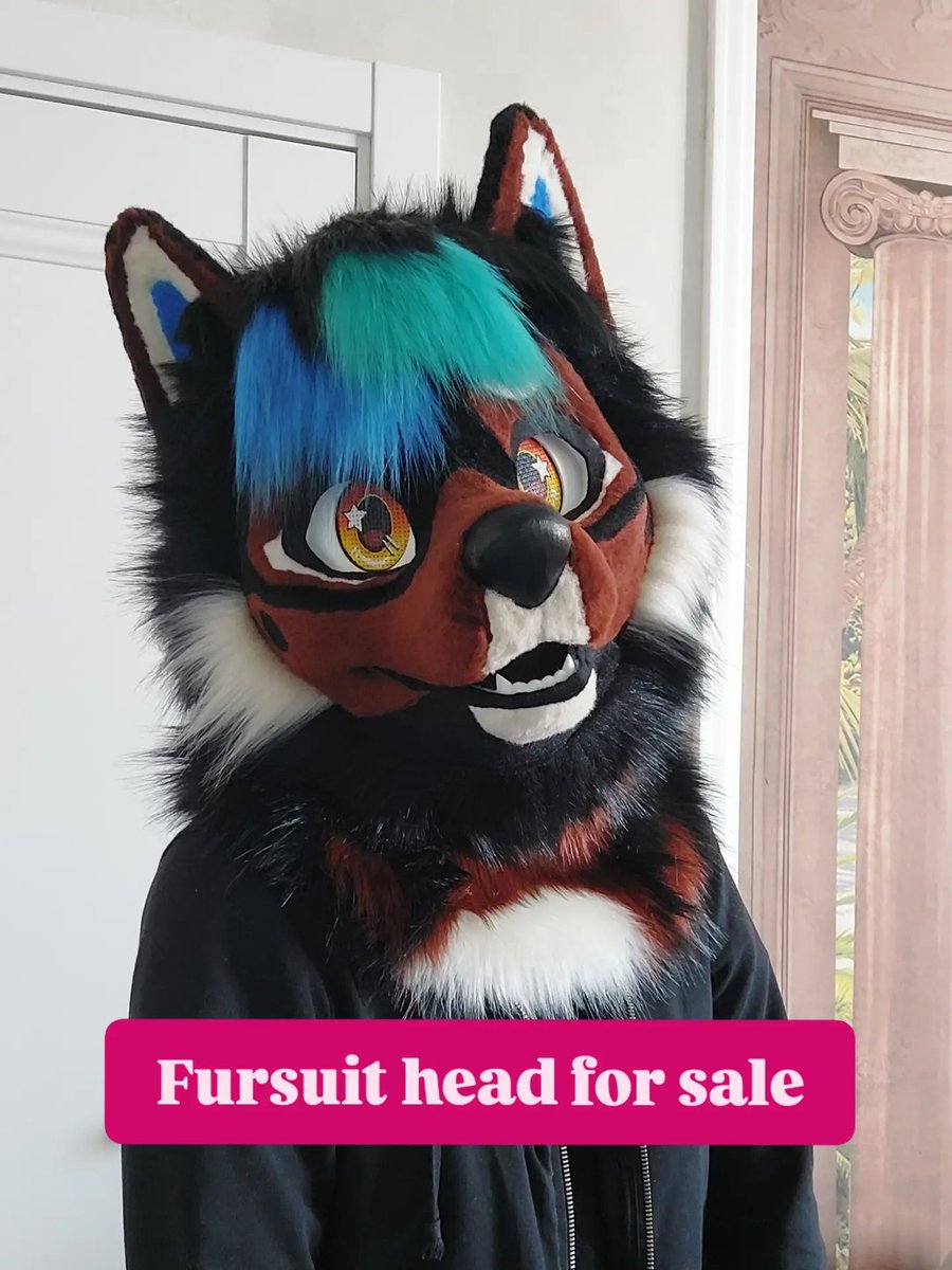 RayVernid's tweet photo. 💖 Fursuit head for sale! 💖
Mix of a german shepherd and shiba inu
Price: 1500€ + shipping (150 with EMS)
Shipping is from Russia
Payment are available with PayPal or card
#fursuitforsale #fursuitsale #fursuithead #fursuitmaker #fursuitheadforsale https://t.co/iOSb8Ctzl1