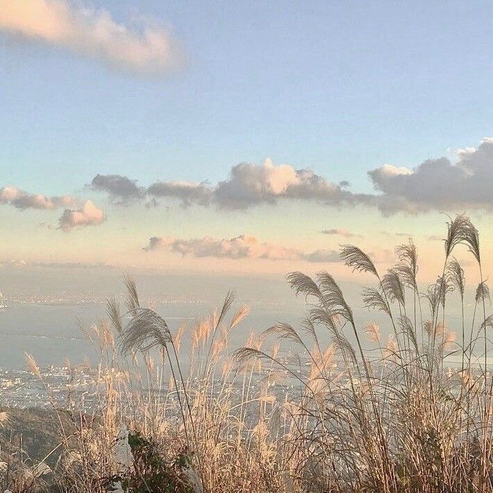 johnbella180266's tweet photo. ada yang mau nge kos di sini? HARGA 1.3/bulan •AC
•KM DALAM
•LISTRIK TOKEN
•ADA WASTAFEL
•WC JONGKOK
•LEMARI https://t.co/pYV2B3xT4A
