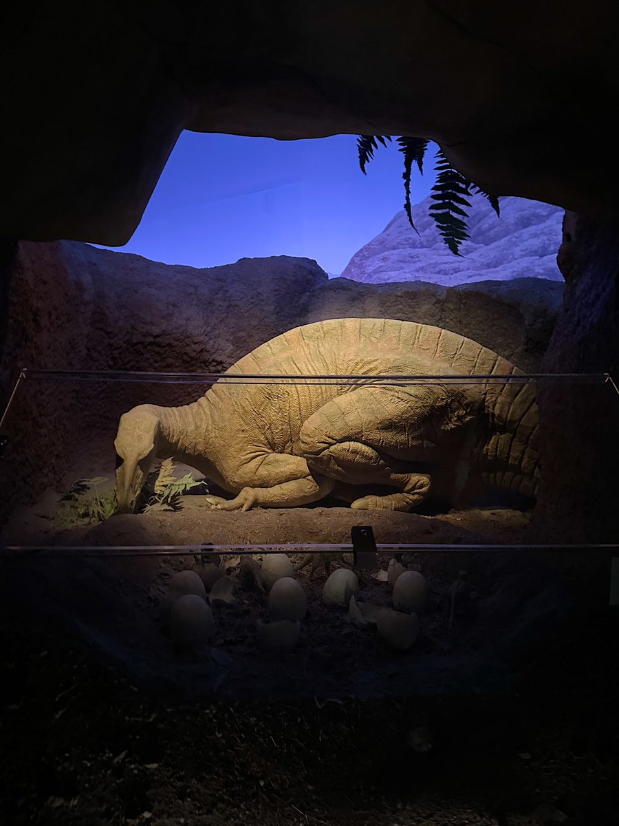 heeheeclub_dj's tweet photo. 엄마 만나러 .🦖🦕 https://t.co/9qfb9wIz5t