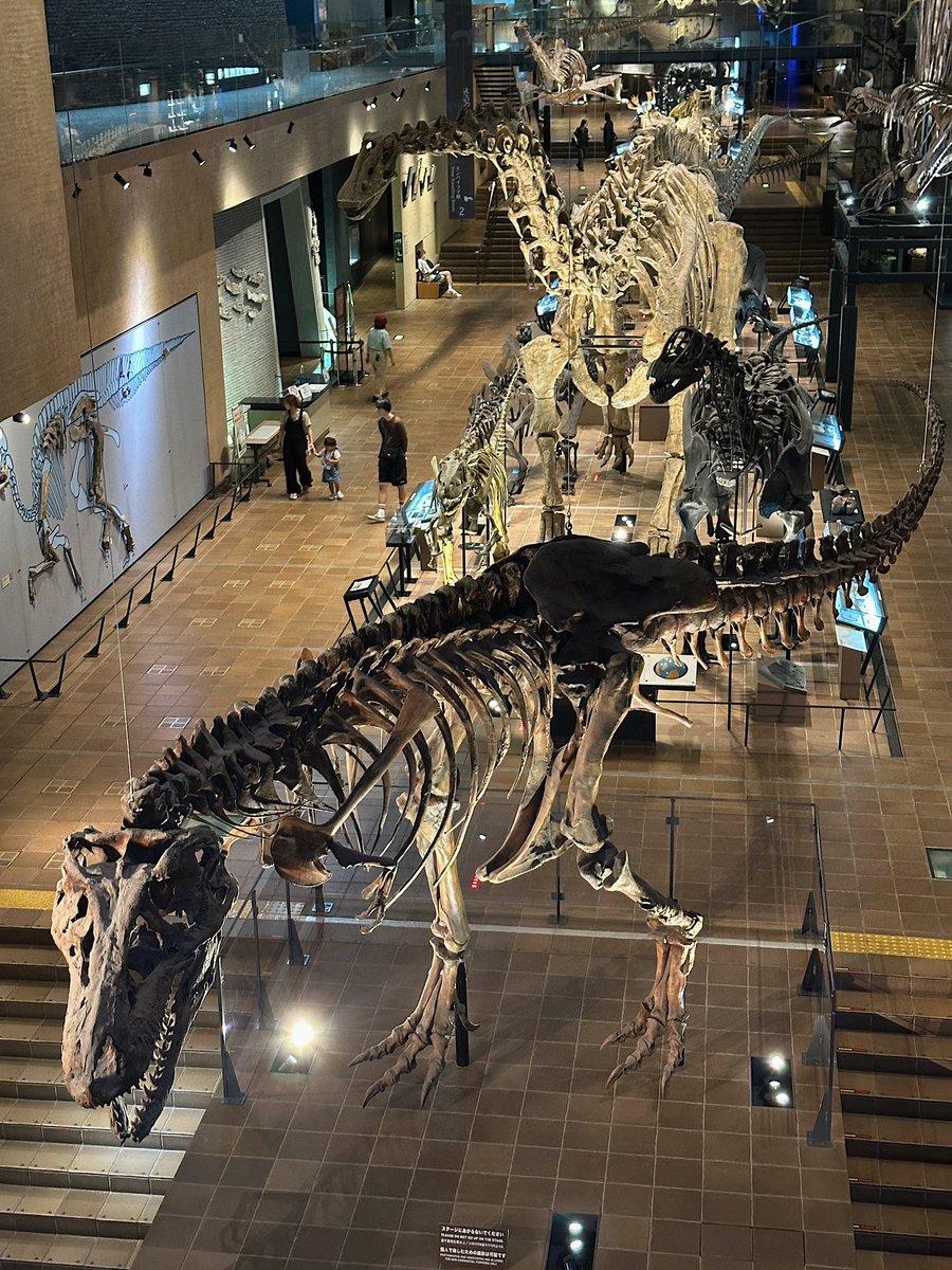 heeheeclub_dj's tweet photo. 엄마 만나러 .🦖🦕 https://t.co/9qfb9wIz5t