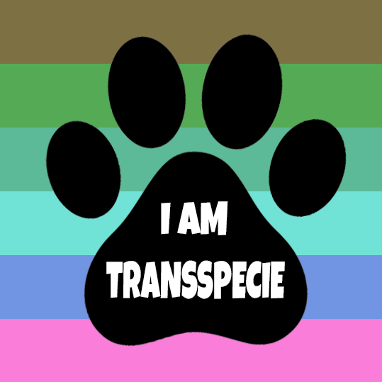 FemBoyPets69's tweet photo. 🐾 https://t.co/4kwzacbBj0