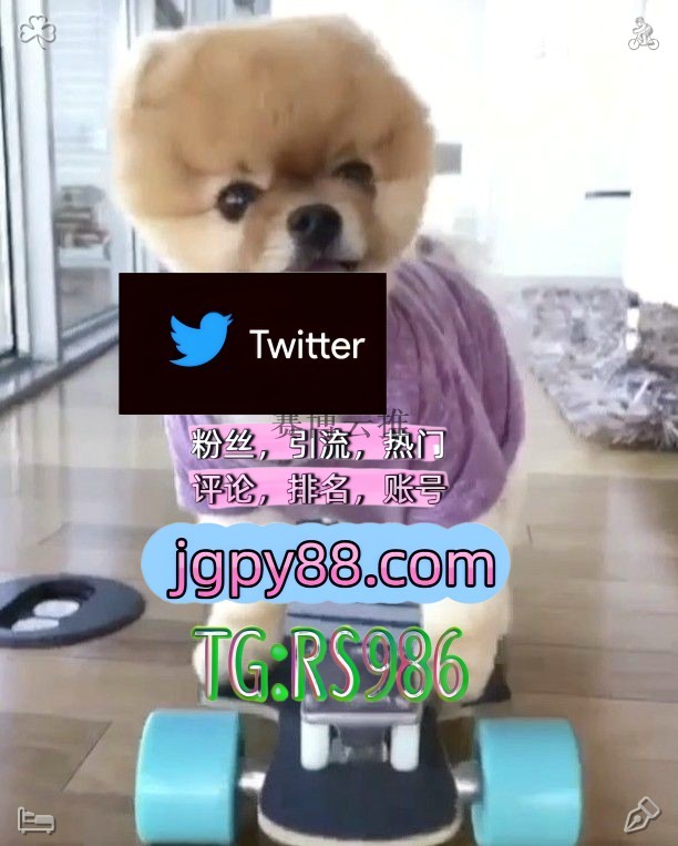 wenzelerich's tweet photo. 心若从容无所畏惧岁月自有最好的安排📑
推特账号购买推特账号 
海外获客🪐主人的任务🌱 批量发帖、多账号管理、推广营销 分宜粉丝号
关键词霸屏🧳熱門🌈权重号🌟推特老号🍄定時發推💐盱眙 代发
霸屏🪐群发私信💐海外获客🍀成都广汉 软件获客、海外推广、流量增长🌋 https://t.co/MnBNWhzoFY