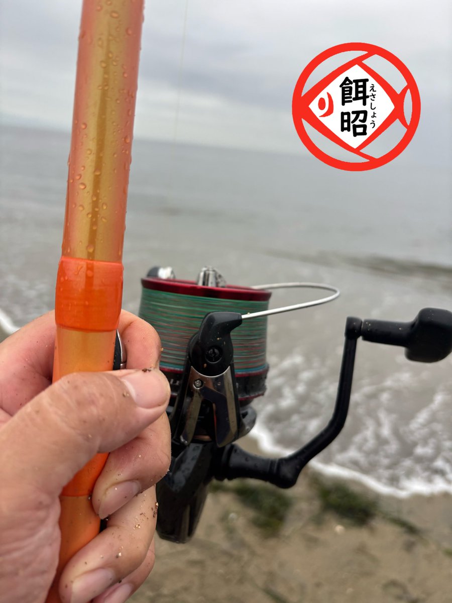 turikitikun's tweet photo. 雨降りは釣れるのよ🤗 釣行日2026年9月16日 #三重県キス釣り #伊勢湾キス釣り https://t.co/zGOBV6sySa
