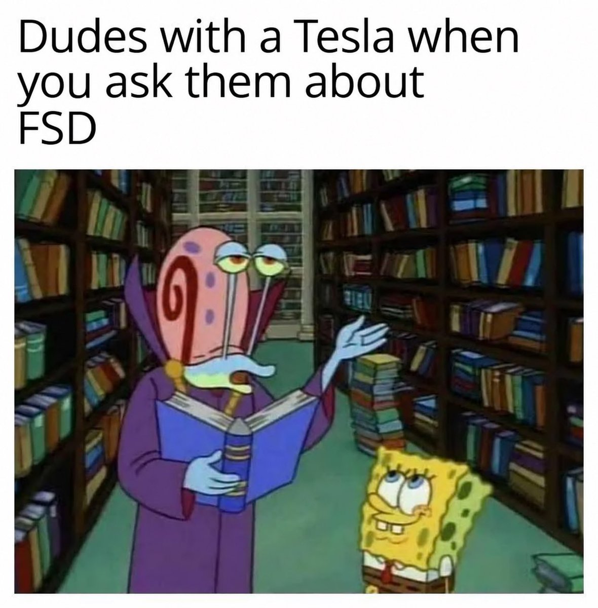 ggabrielmmm's tweet photo. Ask a Tesla owner about FSD at your own risk. https://t.co/59vbB6ILds