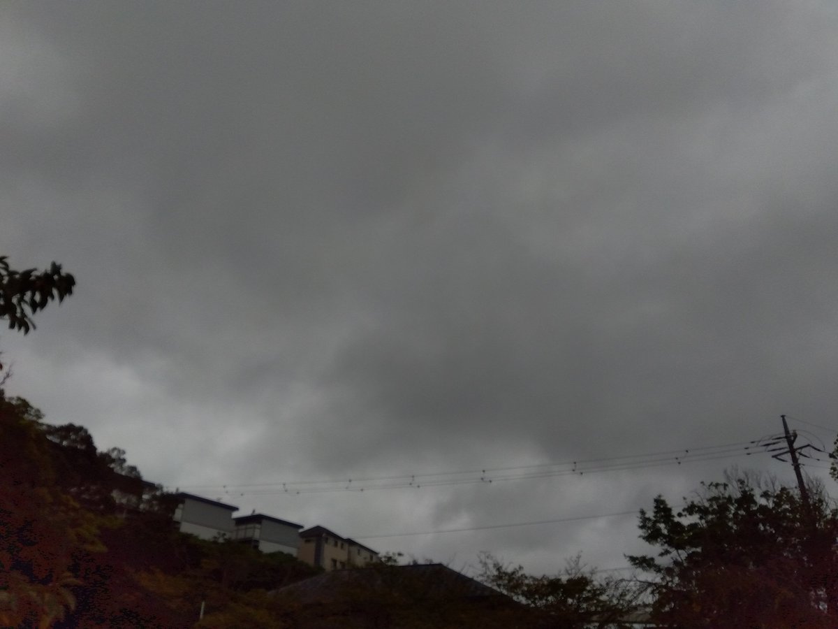 MakoVw3's tweet photo. 今日の花と空🌺🌧️
#花　#空　#千葉県千葉市 https://t.co/23nqQLaFvb