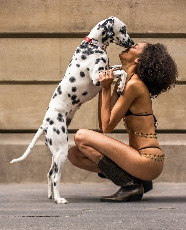 Miraclejs61's tweet photo. Come and experience the most exclusive high drive k9 content 🥵 
Come ask for menu 👇👇 
https://t.co/1Bjhw89qDF https://t.co/TLQjZvLWJ0