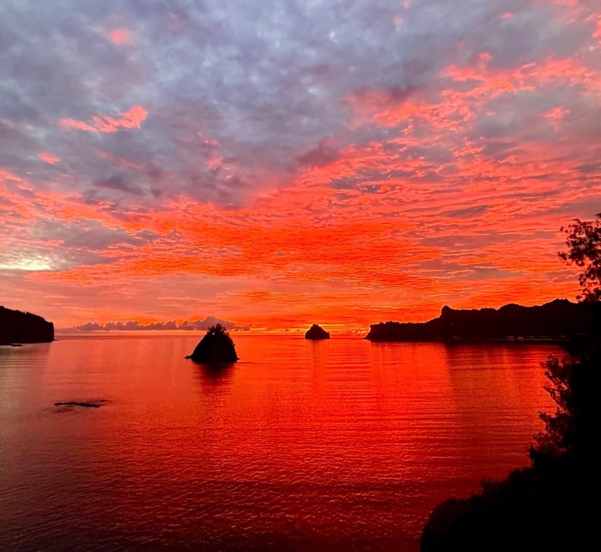 AudreaLimardo's tweet photo. 本日も沢山の申し込みありがとうございます😭
おかげさまで13名振り込めました‼️
少ーーーしだけ資金残ってるので
数名貸します��️

プロフよりLINEください‼️

#個人融資　#お金貸します
#お金困ってます　#お金貸して
#生活費　#金欠、 https://t.co/NFIF0awYzz