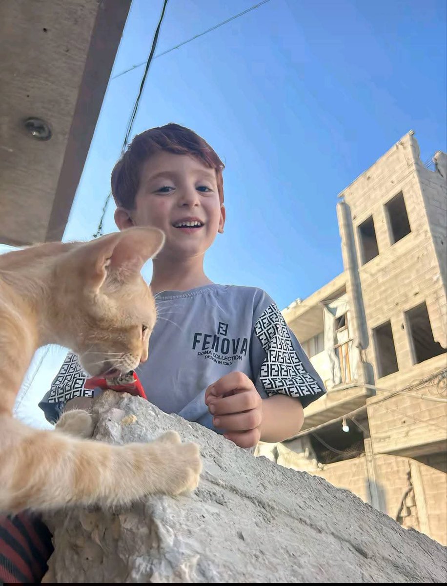 Iman4ii's tweet photo. Gaza🍉 https://t.co/Ktb7qhWpIw