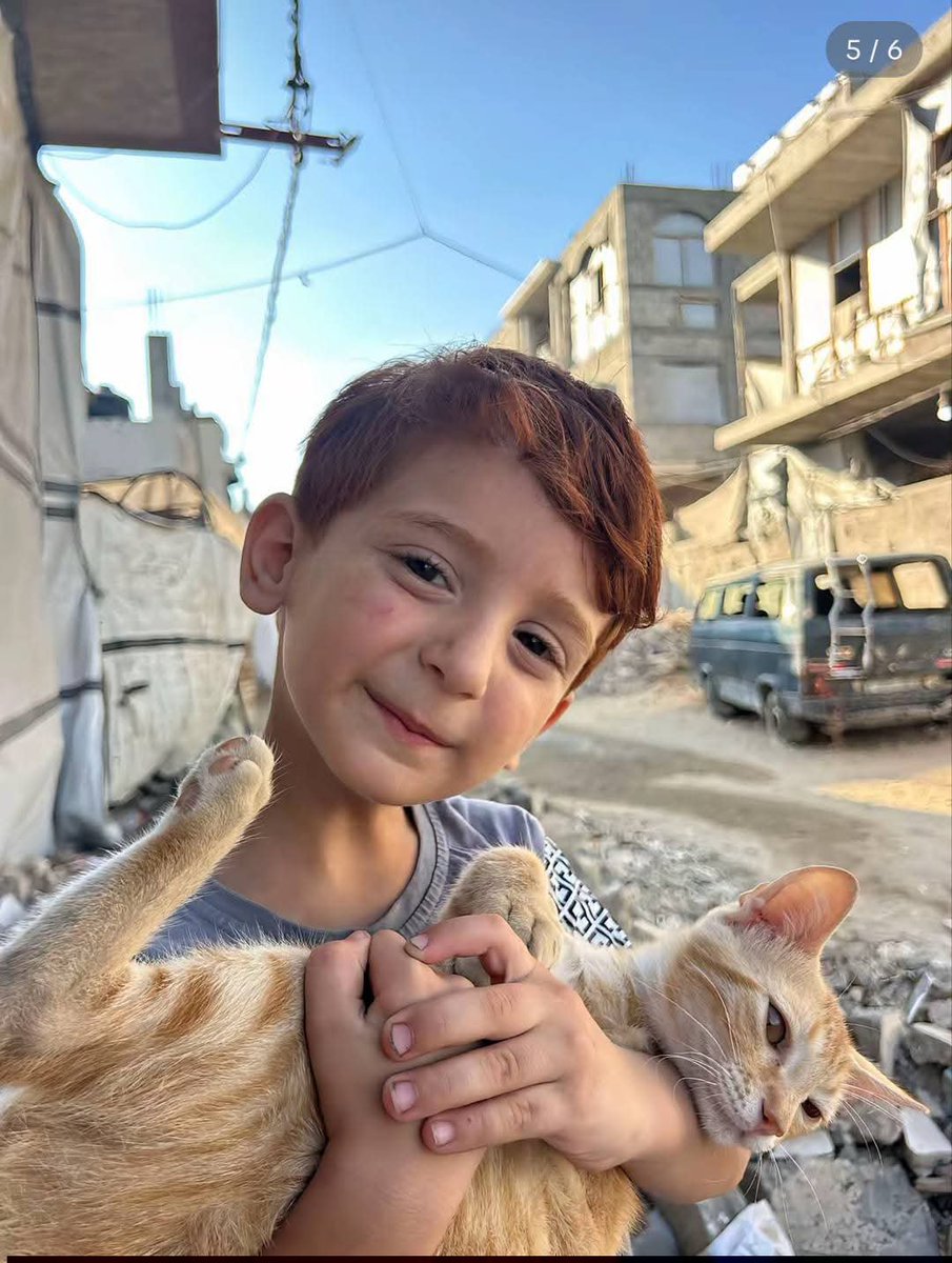 Iman4ii's tweet photo. Gaza🍉 https://t.co/Ktb7qhWpIw