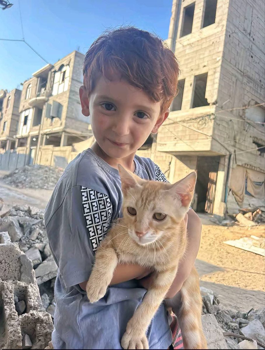 Iman4ii's tweet photo. Gaza🍉 https://t.co/Ktb7qhWpIw