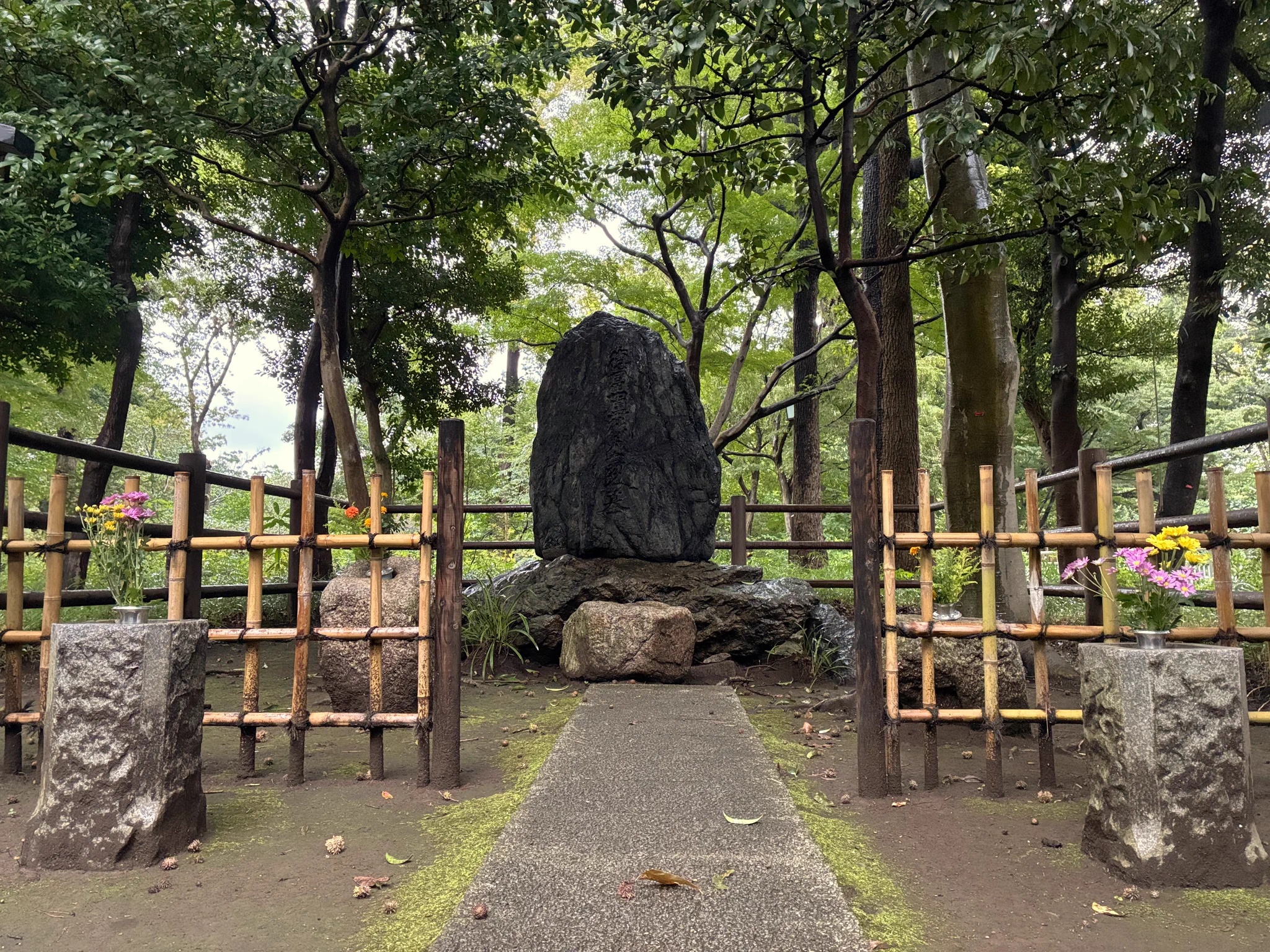 活動歴および当時の関連ビジュアル記録