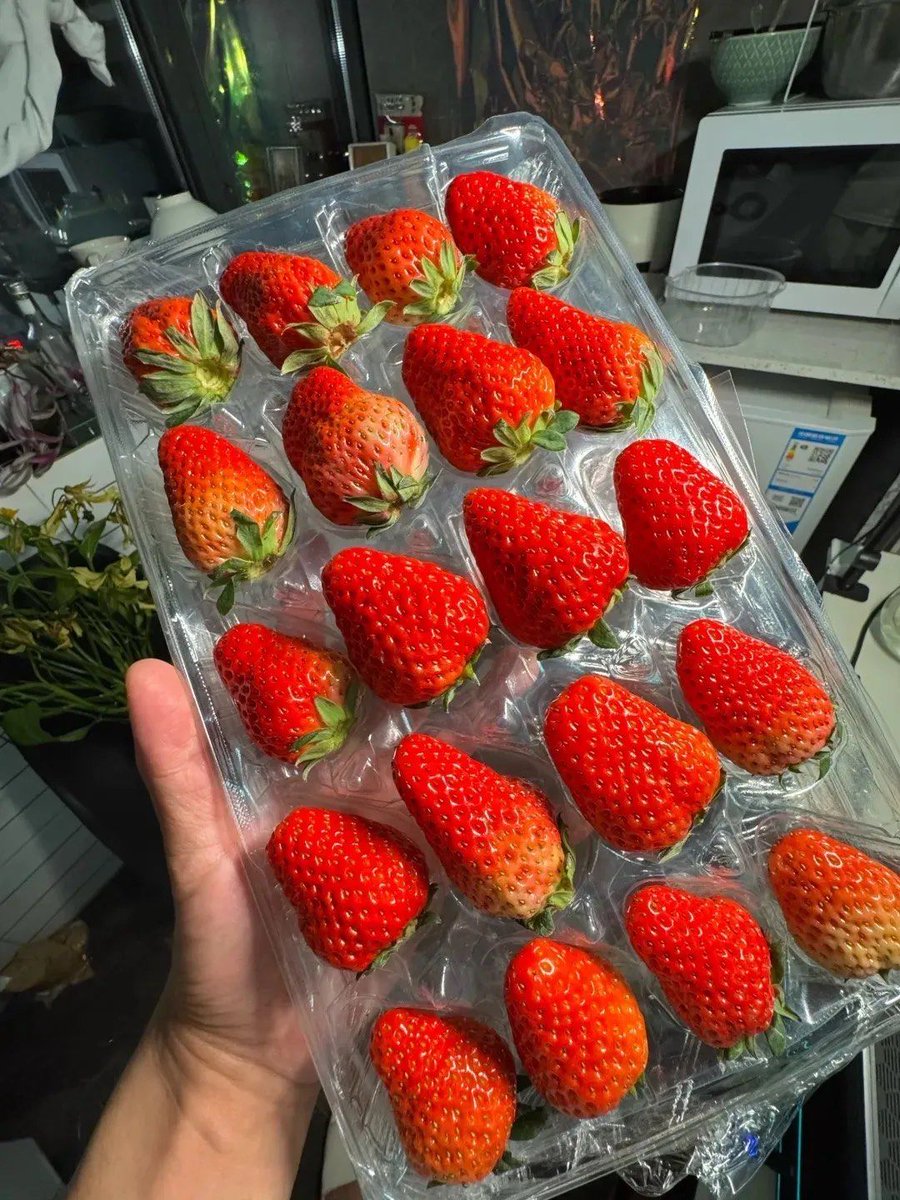 meik_340hey's tweet photo. Neighborly win! Shared my extra homemade cookies with Mrs. Li next door today—she gifted me fresh-picked strawberries. Small moments make big days warmer! https://t.co/rAGKQIiEpa