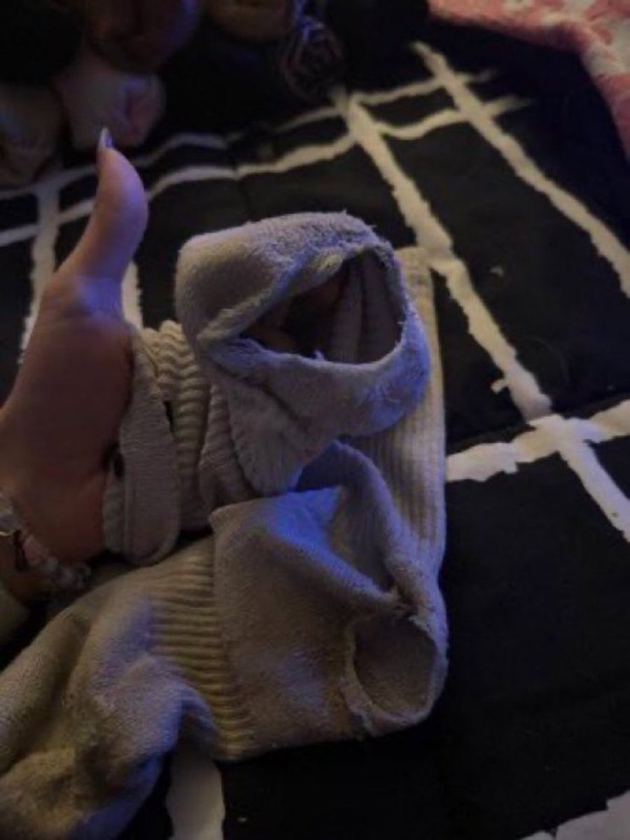 SweetCatfish1's tweet photo. I see you like these dirty socks let me come put it in your face 😈🥰 while I rinse you and take all your money 🤑 
#buyingcontent #femdom #nsfwtwtًً #findom #footfetısh https://t.co/pCV7Xhweod