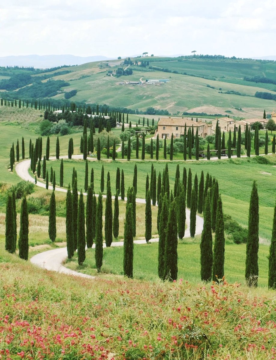 purpi165404's tweet photo. Spent this morning wandering the cobblestone lanes of a tiny Tuscan hill town, stopping at a family-run café for warm cannoli and a view that took my breath away. Pure travel magic right here! https://t.co/1BaRJzPC2m