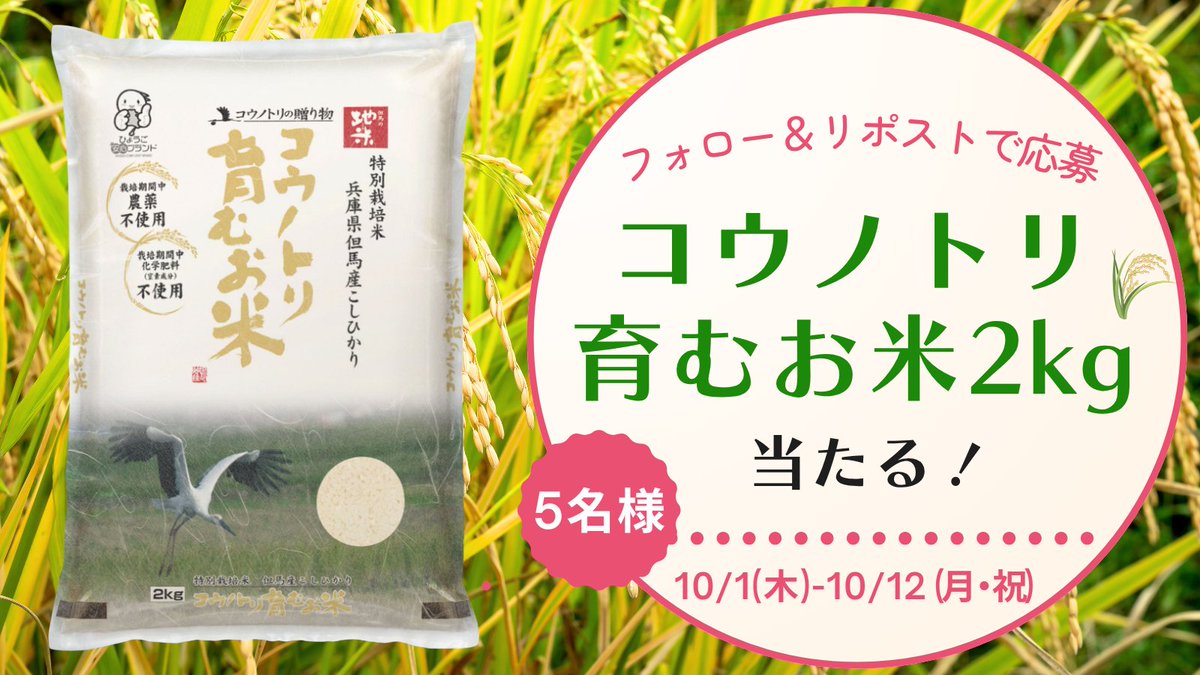 Ntour_JAgroup's tweet photo. #農協観光 は #国消国産 を応援📣
コウノトリ育むお米 2kgを
5名様に #プレゼント企画

📌応募方法
①@Ntour_JAgroupをフォロー
②キャンペーン投稿をリポスト

📌応募締切
2026/10/12 (月・祝)23:59まで
当選者はDMでご連絡
#プレゼントキャンぺーン #懸賞 https://t.co/4t88RbrfJA
