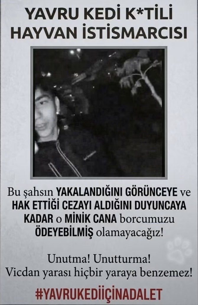 Fatmakapknr's tweet photo. #minikyavruiçinadalet https://t.co/asM2ToyXRw