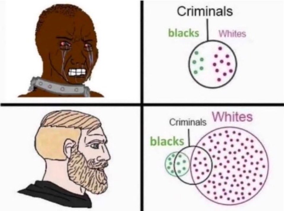 DanielKFrye's tweet photo. The media invents white guilt to hide the plain truth: we built civilized order, they bring the lawlessness. https://t.co/NmPGnCuFmB