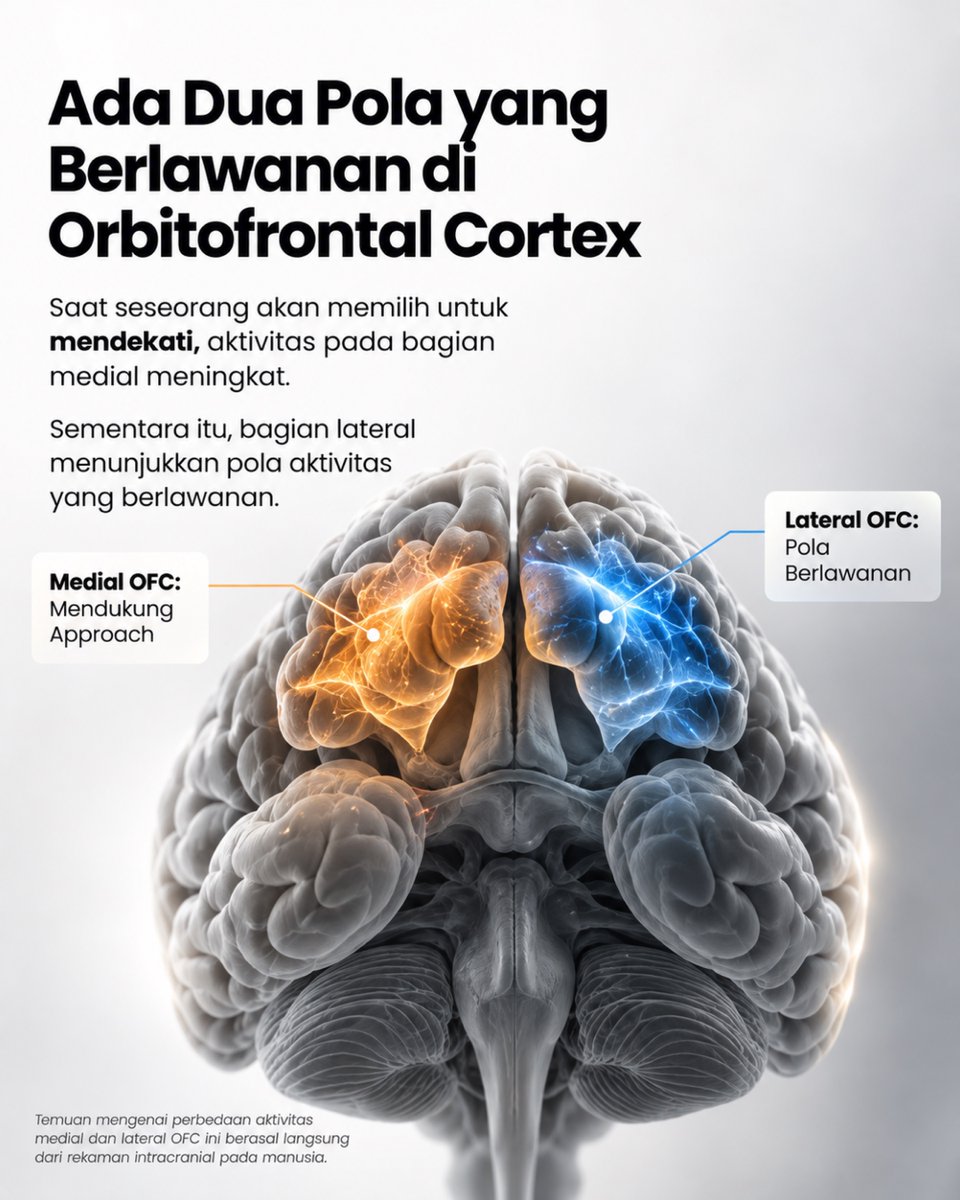 berritolam's tweet photo. Otak ternyata dapat menunjukkan pola aktivitas sebelum kita mengambil keputusan. Riset terbaru menemukan dinamika cepat di orbitofrontal cortex saat seseorang mempertimbangkan peluang dan risiko, meski temuan ini masih perlu dikaji pada lebih banyak peserta. https://t.co/SkDnFyox0N