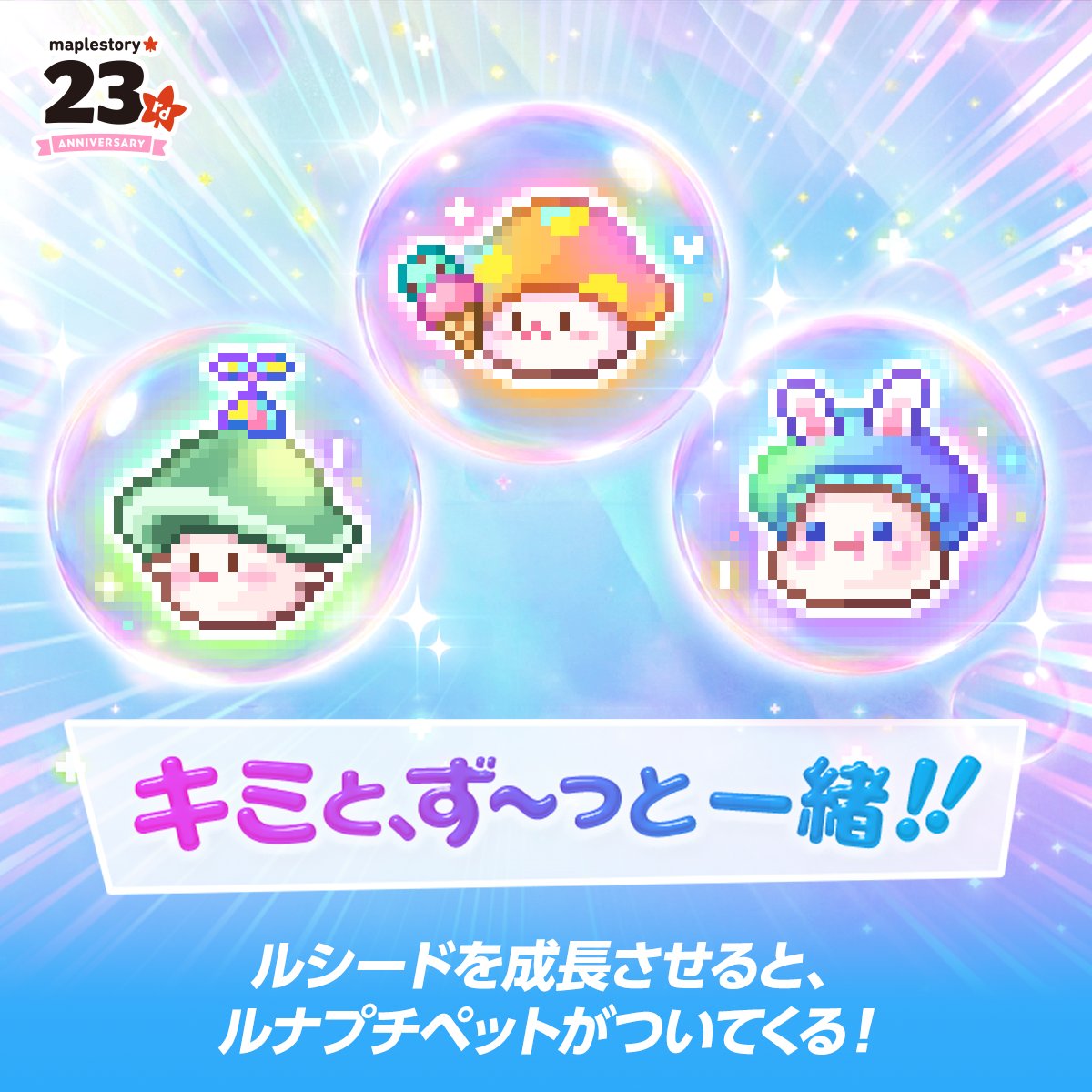MapleStory_JP's tweet photo. 🍁メイプル23周年 UPDATE🍁
イベント内容を紹介するぷる～！

🌸メイプル学園🌸
ミニゲームや授業に参加して、限定アバターや報酬を手に入れよう！
ヒロインたちとの甘いイベントも！？

🦋チェンジバーニング：ルシード🦋
ルシードに変身してキャラクターを育成しよう！
専用スキル、装備を駆使してメイプルワールドを飛び回ろう！！

🍄キミと、ず～っと一緒！！🍄
ルシードを成長させて、ずっと一緒にいられるルナプチペットをゲットしよう！

💪共用コアアップデート💪
新規共用コアの追加と一部スキルの改善！
さらに、ソル・ヘカテのスキン変更も！

詳細はこちらっぷる！！
https://t.co/SXtxOWeIWI
#メイプルストーリー #メイプル23周年