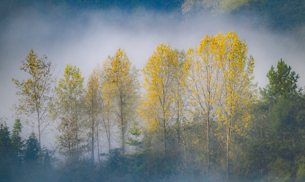 cinde322026's tweet photo. Woke up to mist clinging to pine trees and the distant babble of a mountain stream—just another perfect weekend in the wild, no Wi-Fi, all joy https://t.co/IdeIrI31Vd
