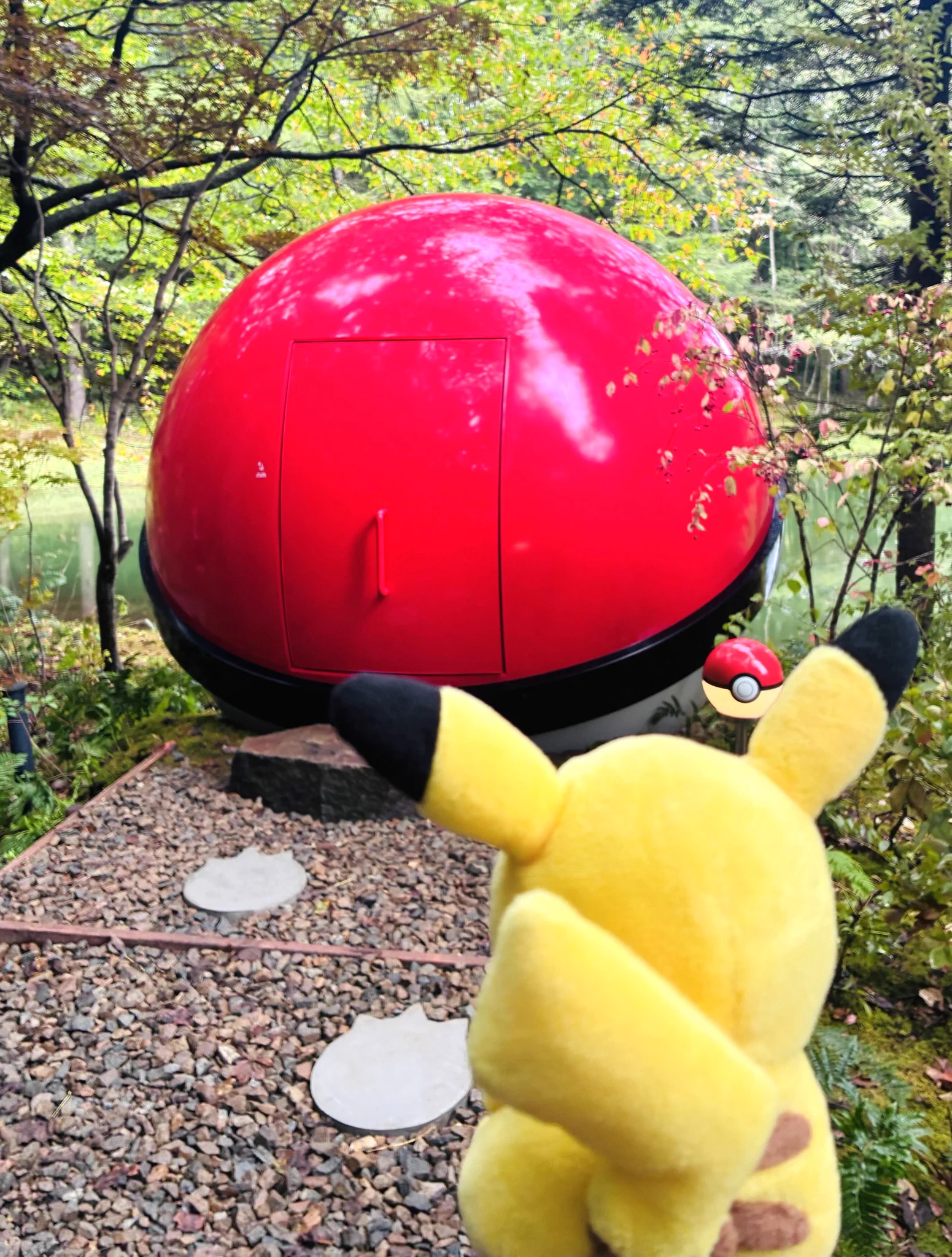 公式】ポケモン情報局 on X: 