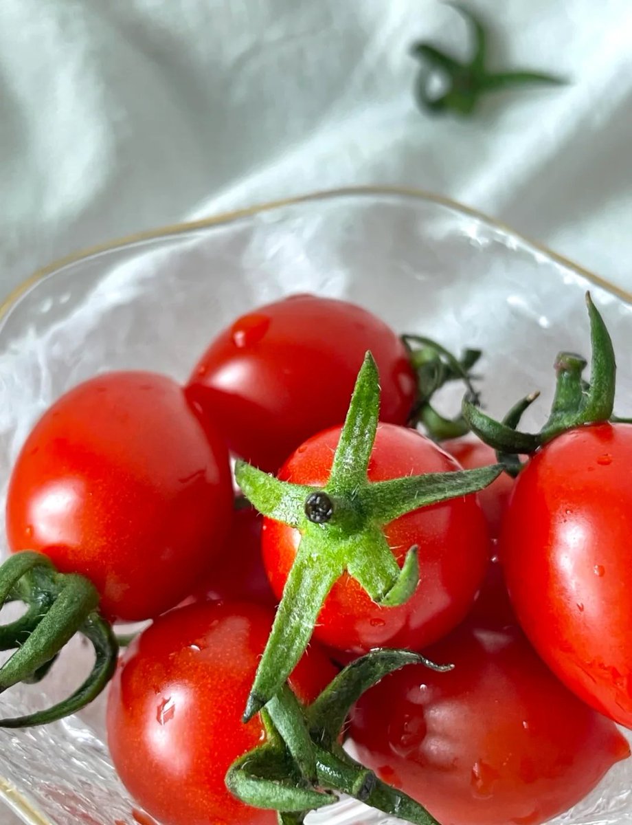 adagi600569's tweet photo. Just tested sun-ripened cherry tomatoes—bursting juice, sweet-tart kick, and zero bitter aftertaste. Game-changer for salads!  #FreshFind https://t.co/KEZzMNY8F1